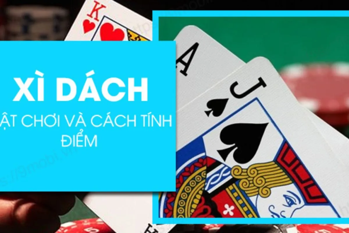 chơi xì dách có nên làm cái hay không