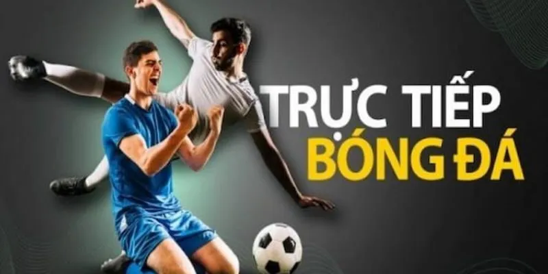 Khám Phá Link Trực Tiếp Bóng Đá Chất Lượng Ở Xo88