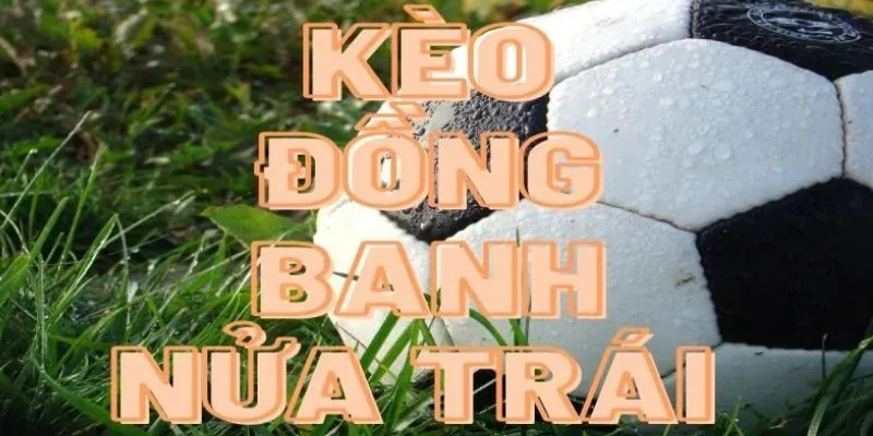Một số kinh nghiệm đặt cược đến từ cao thủ