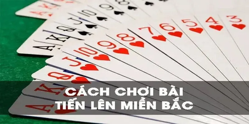 Hướng dẫn chi tiết từ A đến Z